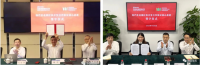 中國寶武，究竟儲備了多少鐵礦？